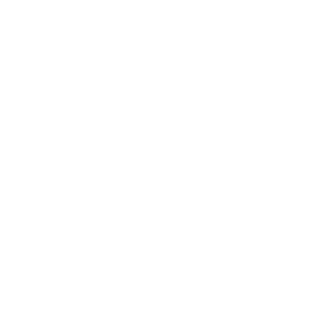 lucid-cliente